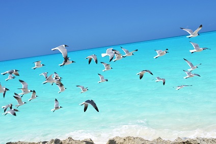 Yachting in the Bahamas - Yacht Vacations Bahamas | YACHTICO.com Yachting in the Bahamas - Yacht Vacations Bahamas | YACHTICO.com