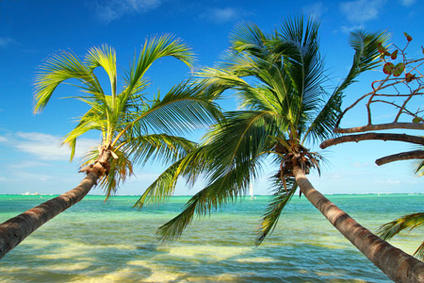 Yacht Charter and Rentals in the Bahamas - Sailing Adventure The Abaco Islands | YACHTICO.com Yacht Charter and Rentals in the Bahamas @pavel Chernobrivets